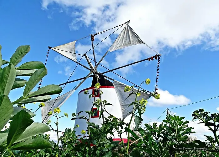 Dom wakacyjny Patio Mateus *