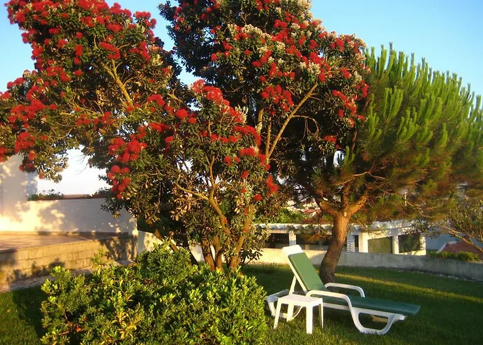 Patio Mateus Dom wakacyjny *